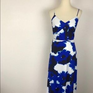 4 Tall Banana Republic dress